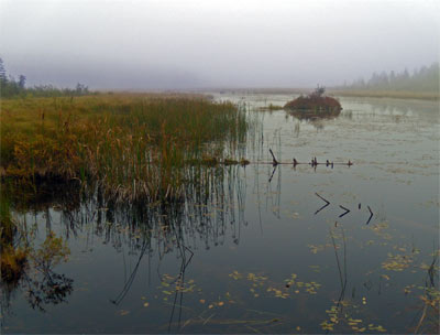 Beaver Lodge, Minnesota