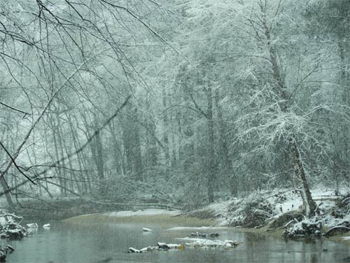 rottenwood creek atl