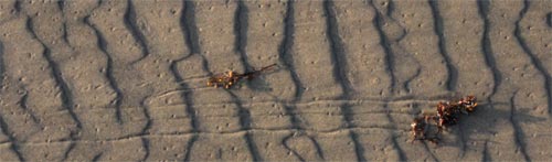 Ripples in the Sand, Padre Island