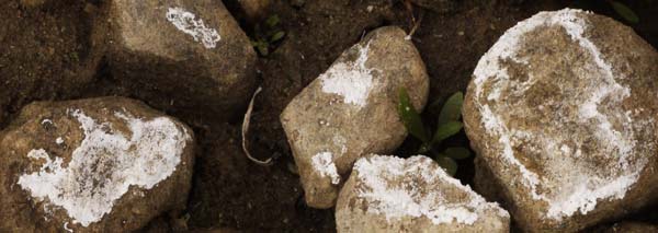 Dried Salts in Coyote Creek