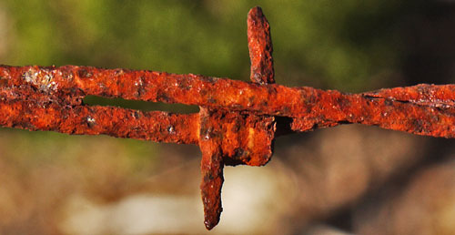 Barb Wire