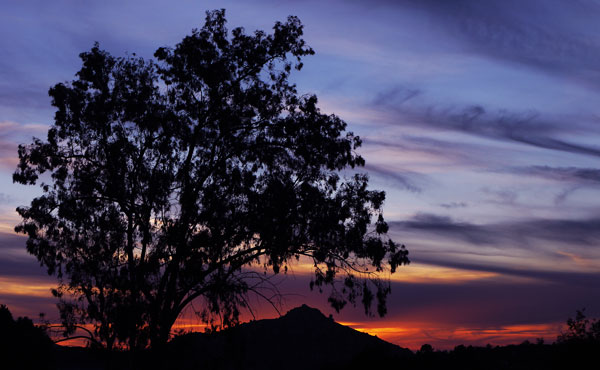 Jamul Sunset