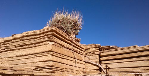 Sandstone