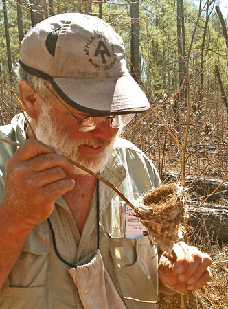 Dan Inspects Bird Nest