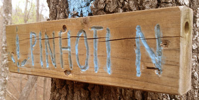 Dan Carved this Pinhoti Sign