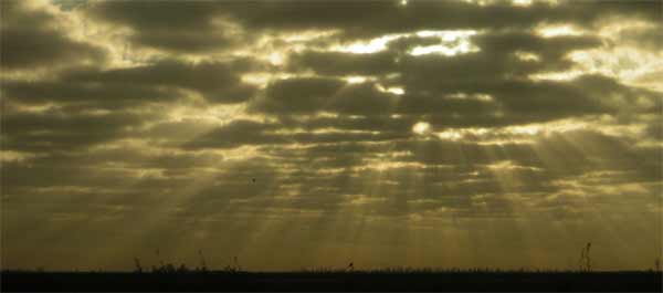 Sunrise on the L1E Levee Florida, 2006