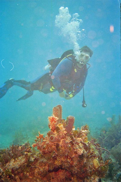 My dive buddy Dairen floats over a sponge. 