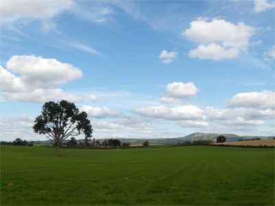 Grazing Land, Pasture