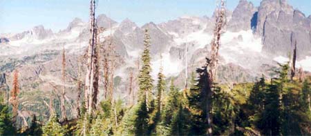 Ridge near Escondia Lake, Alpine Lakes Wilderness.