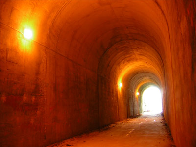 Brushy Mountain Tunnel, east of Coot's Pond.