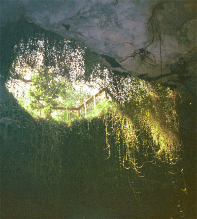 The Sky Light at Devil's Den