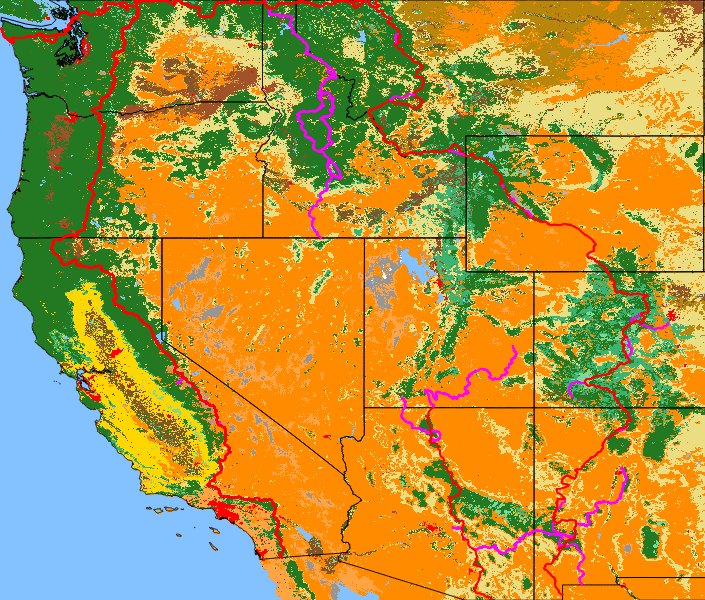 Land Cover